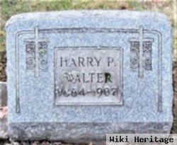 Harry P Walter