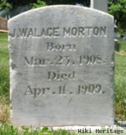 James Wallace Morton