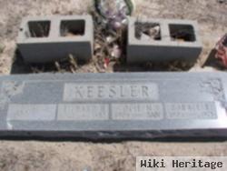 Richard H Keesler