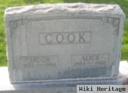 Alice Cook