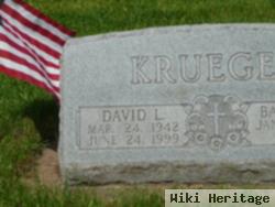 David L Krueger