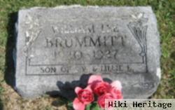 William Lee Brummitt