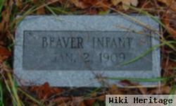 Infant Son Beaver