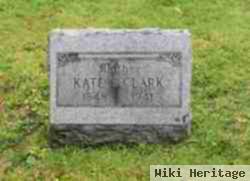 Kate E Clark