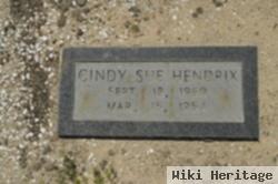 Cindy Sue Hendrix