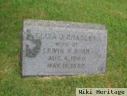 Eliza J. Bradley Burr