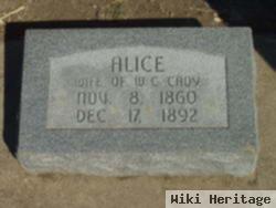 Alice B Coad Cady