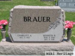 Kenneth Paul Brauer