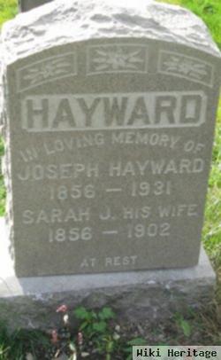 Sarah J Hayward