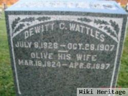 Dewitt Clinton Wattles