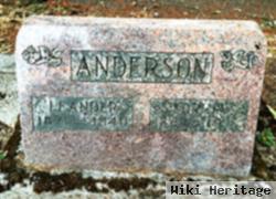 Sophia D. Drolson Anderson