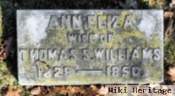 Ann Eliza Williams