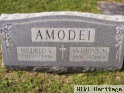 Anthony M Amodei