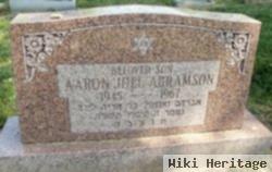 Aaron Joel Abramson