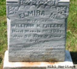 Elmira Matilda Jones Freese