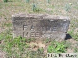 Fannie Tinkle Meeks