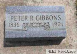 Peter R Gibbons