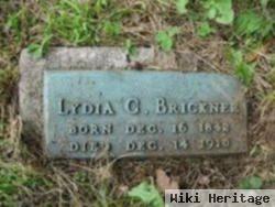 Lydia C. Clouser Brickner