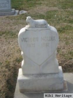 Victorio Villanueva Molina