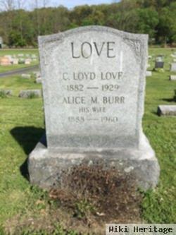 Alice Mae Burr Love