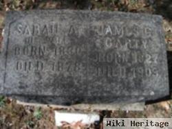 Sarah Ann Goggin Carty