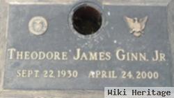 Theodore James Ginn, Jr