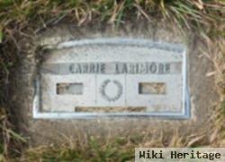 Carrie Smedstrin Larimore