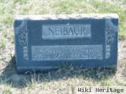 William Henry Neibaur