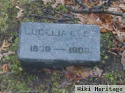 Lucelia Hudson Case