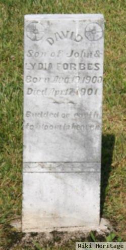 David Forbes