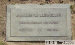 Charles W Llewellyn