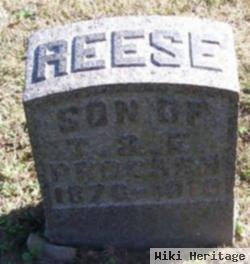 Reese T Prosser