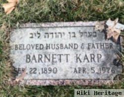 Barnett Karp