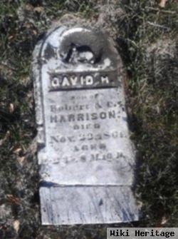 David H Harrison