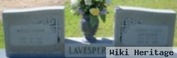 Wesley Joseph Lavespere