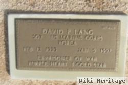 David P Lang