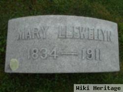 Mary Fox Llewellyn