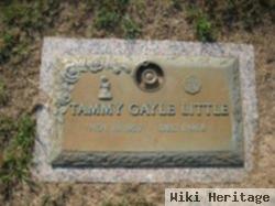 Tammy Gayle Little
