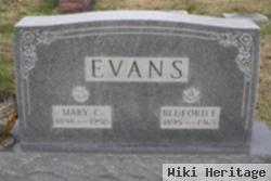 Mary E Evans