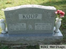 Meredith N. Mcginnis Koop