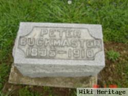 Peter A. Buckmaster