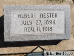 Albert Nester