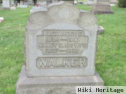 Alexander E Walker