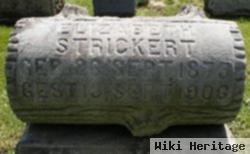 Elizabeth Kraatz Strickert