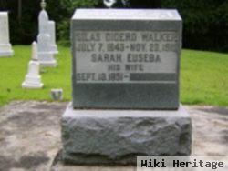 Sarah Jane-Euseba "sallie" Ellzey Walker