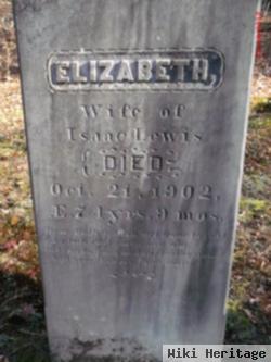 Elizabeth Mccobb Lewis