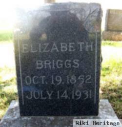 Elizabeth Briggs