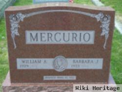 William A Mercurio