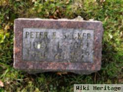 Peter E Becker