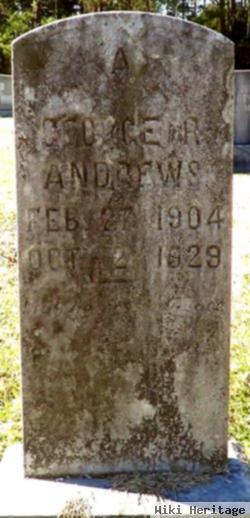 George Robert Andrews